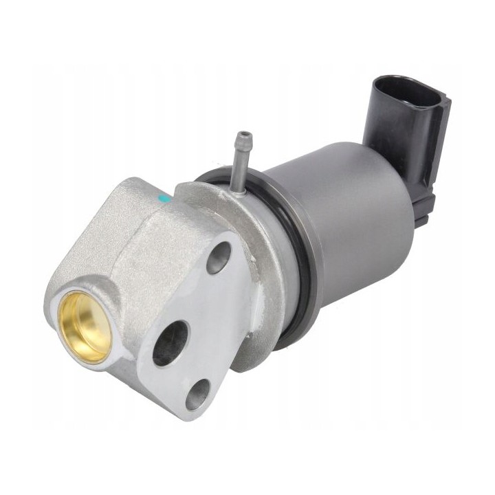 ZAWÓR EGR VW GOLF IV 4 POLO BORA SEAT IBIZA LEON AUDI A2 1.4 1.6 16V