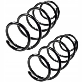 2X SPRĘŻYNZA ZAWIESZENIA TYŁ SKODA OCTAVIA SEAT TOLEDO VW BORA