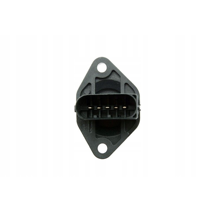 PRZEPŁYWOMIERZ POWIETRZA BMW E46 E39 E38 E53 2.0 3.0 D