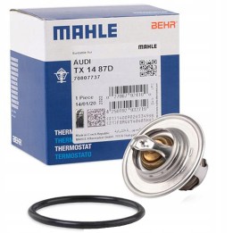 TERMOSTAT BORSEHUNG AUDI A3 VW GOLF PASSAT SKODA SUPERB