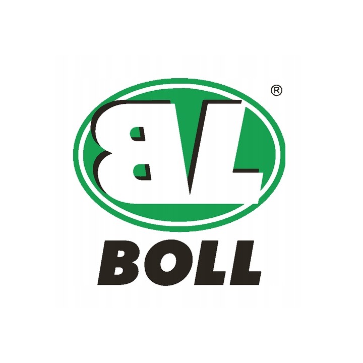 BOLL ŚRODEK DO CZYSZCZENIA ZAWORÓW EGR 400ML / BOLL