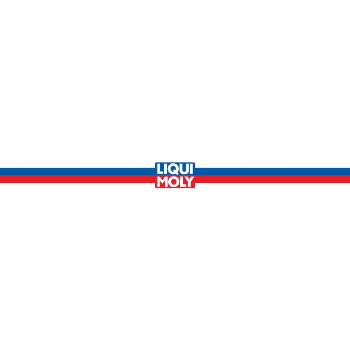 LIQUI MOLY ŚRODEK DO CZYSZCZENIA UKŁ. CHŁODZENIA 300ML / LIQUI MOLY