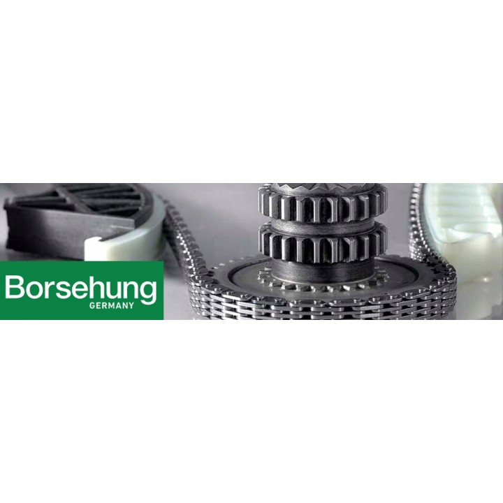 TERMOSTAT BORSEHUNG AUDI A3 VW GOLF PASSAT SKODA SUPERB