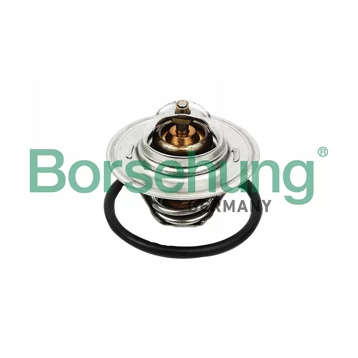 TERMOSTAT BORSEHUNG AUDI A3 VW GOLF PASSAT SKODA SUPERB