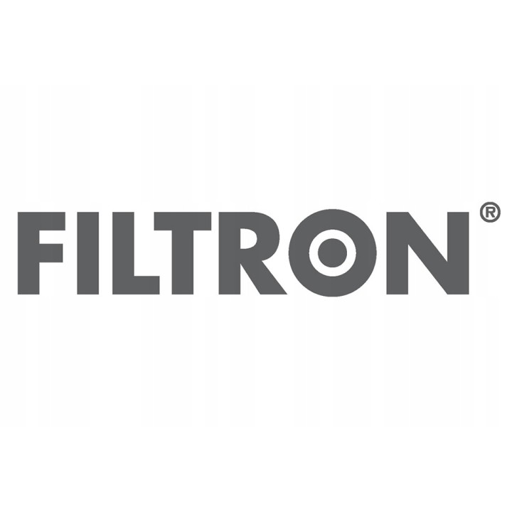 FILTRON FILTR POWIETRZA FORF TRANSIT TOURNEO CUSTOM 2.2 TDCI