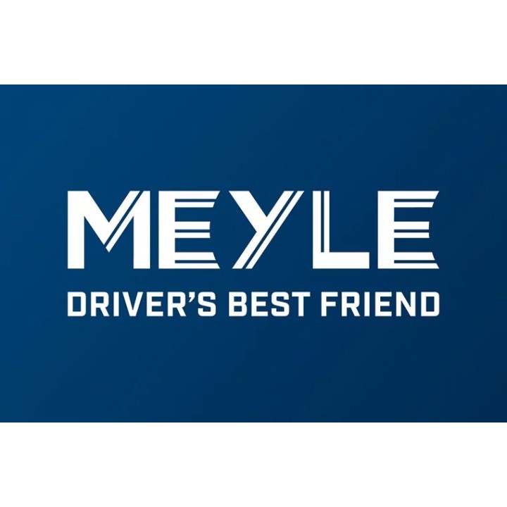MEYLE ŚWIECE ŻAROWE BMW MERCEDES PEUGEOT RENAULT CITROEN