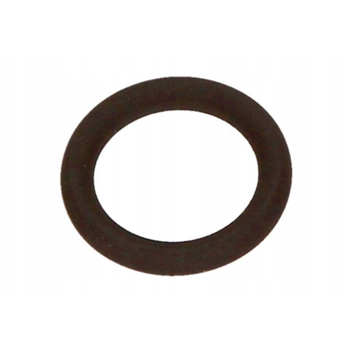 USZCZELKA ORING BAGNETU BMW
