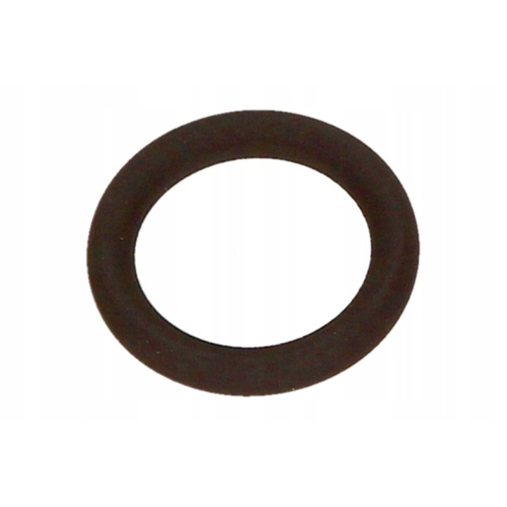 USZCZELKA ORING BAGNETU BMW