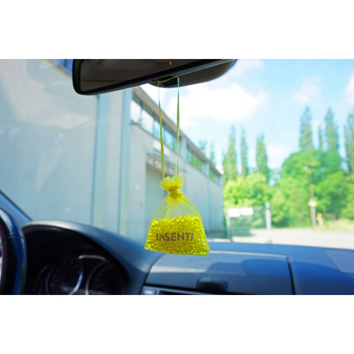 MOJE AUTO ZAPACH WORECZEK ZAPACHOWY 20G INSENTI LEMON MINT / MOJE AUTO
