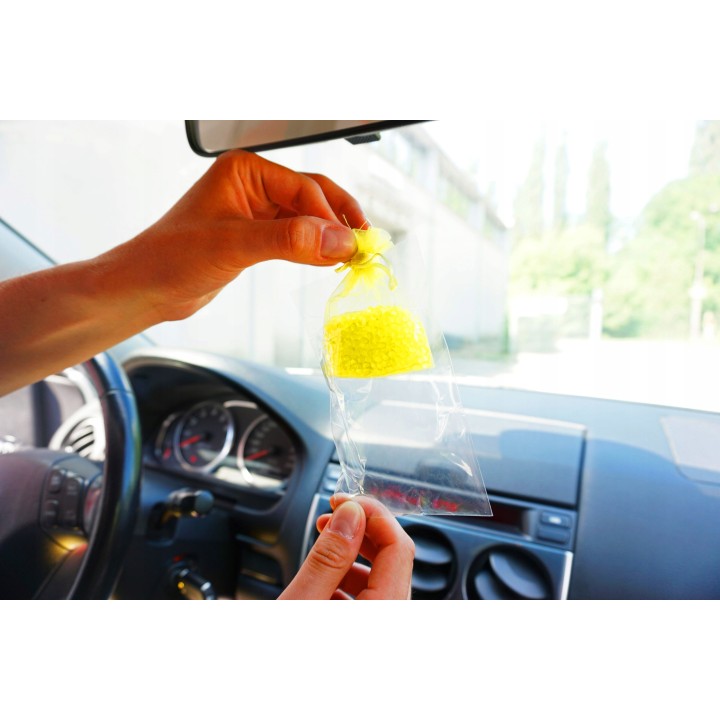 MOJE AUTO ZAPACH WORECZEK ZAPACHOWY 20G INSENTI LEMON MINT / MOJE AUTO