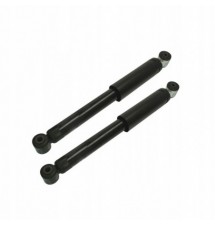 2 X AMORTYZATORY TYŁ ZESTAW PEUGEOT 1007 05- CITROEN...