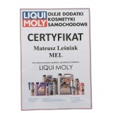 LIQUI MOLY ŚRODEK DO CZYSZCZENIA UKŁ. CHŁODZENIA 150ML / LIQUI MOLY / KONCE