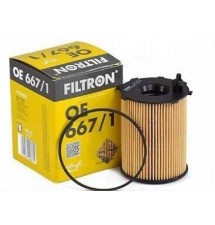 FILTR FILTRON OE667/1 FORD...
