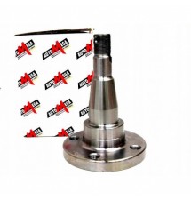 PIASTA CZOP TYŁ TYLNY OPEL TIGRA CORSA A B